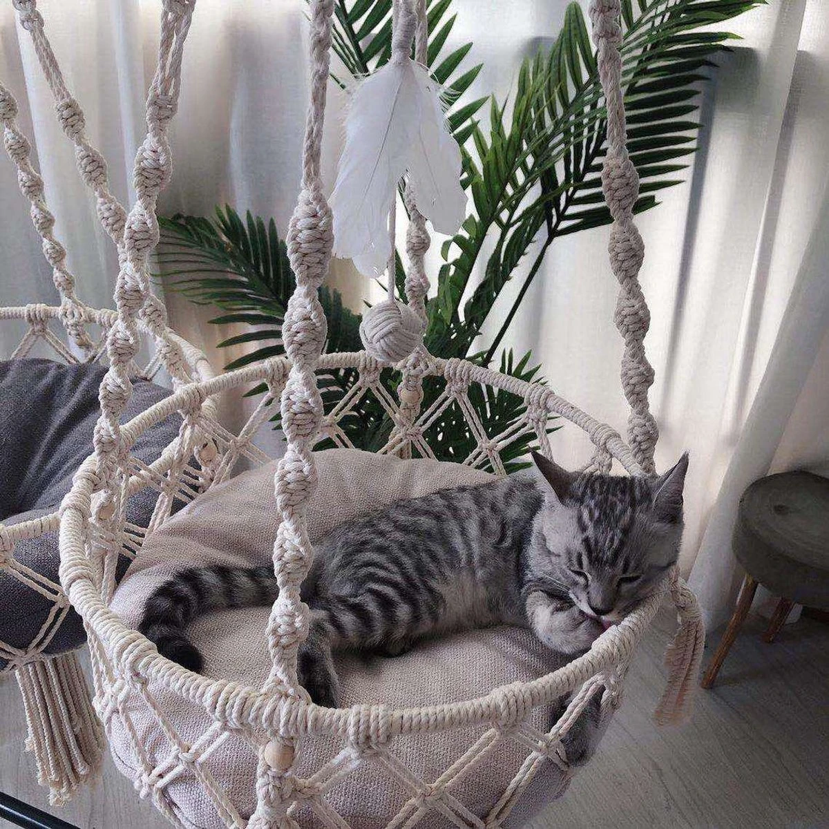 Bonbox Shop - Macrame Hangmat Voor Katten En Kittens - Kattenhammock - Hangmand 5 Bonbox Shop - Macrame Hangmat Voor Katten En Kittens - Kattenhammock - Hangmand - Afbeelding 5