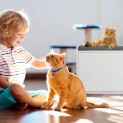 Relaxdays Kattenbak Ombouw - Met Zitkussen - Kattenhuis Wit - Kattenmeubel - Kattenkast 13 Relaxdays Kattenbak Ombouw - Met Zitkussen - Kattenhuis Wit - Kattenmeubel - Kattenkast -Merkloos Winkel 1200x1200 514