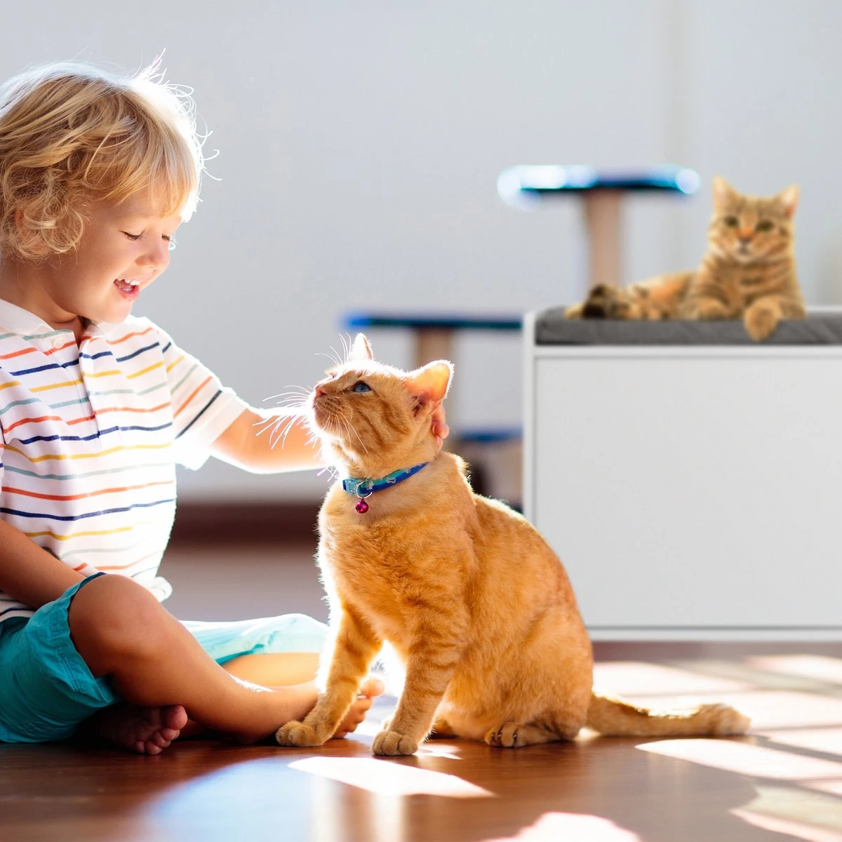 Relaxdays Kattenbak Ombouw - Met Zitkussen - Kattenhuis Wit - Kattenmeubel - Kattenkast 4 Relaxdays Kattenbak Ombouw - Met Zitkussen - Kattenhuis Wit - Kattenmeubel - Kattenkast - Afbeelding 4