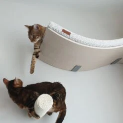 COSY AND DOZY Cat Shelf Deluxe WIT – Hangmat Kat – Maple Hout - 90 X 41 Cm - Kattenplank - Katten Muur -Merkloos Winkel 1200x1200 520