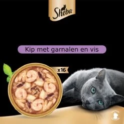 Sheba Filets - Katten Natvoer Saus - Garnaal, Oceaanvis, Kip - 16x60g -Merkloos Winkel 1200x1200 54