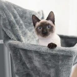 Navaris Hangmat Radiator Voor Katten - Kattenmand Voor Aan De Verwarming - Inclusief Uitneembaar Kussen - Tot 6 Kg 9 Navaris Hangmat Radiator Voor Katten - Kattenmand Voor Aan De Verwarming - Inclusief Uitneembaar Kussen - Tot 6 Kg -Merkloos Winkel 1200x1200 561