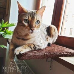 PRETTY KITTY Cat Window Bed 32x41cm: Knuffelig Kattenbed Voor De Vensterbank, Premium Kattenbed Fluffy Voor Het Raam, Vensterbank Kat - Wasbaar, Vensterbank Kat -Merkloos Winkel 1200x1200 584