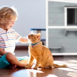 Relaxdays Kattenhuis Buiten - Groot Kattenhok Binnen - Hoog Kattenmeubel Grijs Hout - Tuin -Merkloos Winkel 1200x1200 596