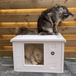 RHRQuality Kattenhuis Voor Binnen En Buiten Kattenhok Villa De Luxe Wit 60cm -Merkloos Winkel 1200x1200 606