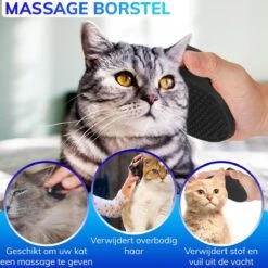 Kattenhangmat - Hangmat Kat- Kattenhangmat Raam – Kattenbed - Kattenhangmand - Kattenkussen -Merkloos Winkel 1200x1200 642