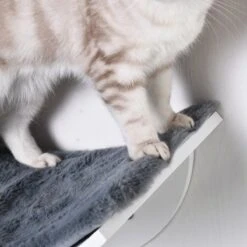 Merkloos Paws And Claws - Cat Shelf – Hangmat Kat – Kattenplank - Kattenbed - Wasbaar – Wandmontage – MDF - Wit 14 Merkloos Paws And Claws - Cat Shelf – Hangmat Kat – Kattenplank - Kattenbed - Wasbaar – Wandmontage – MDF - Wit -Merkloos Winkel 1200x1200 652
