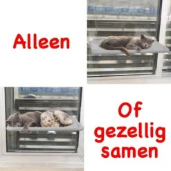 Merkloos Kattenhangmat - Kattenbed - Hangmat Kat Raam Ook Voor Radiator En Deur - Kattenmand Raam En Radiator - Katten Hangmat - Radiatorhangmat Kat Kattenstoel - Tijdelijk Met Extra Hangmat Hoes -Merkloos Winkel 1200x1200 658