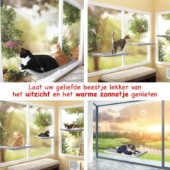 Merkloos Kattenhangmat - Kattenbed - Hangmat Kat Raam Ook Voor Radiator En Deur - Kattenmand Raam En Radiator - Katten Hangmat - Radiatorhangmat Kat Kattenstoel - Tijdelijk Met Extra Hangmat Hoes -Merkloos Winkel 1200x1200 659