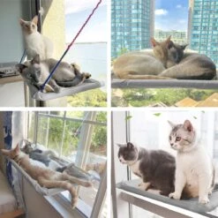 Merkloos Kattenhangmat - Kattenbed - Hangmat Kat Raam Ook Voor Radiator En Deur - Kattenmand Raam En Radiator - Katten Hangmat - Radiatorhangmat Kat Kattenstoel - Tijdelijk Met Extra Hangmat Hoes -Merkloos Winkel 1200x1200 660
