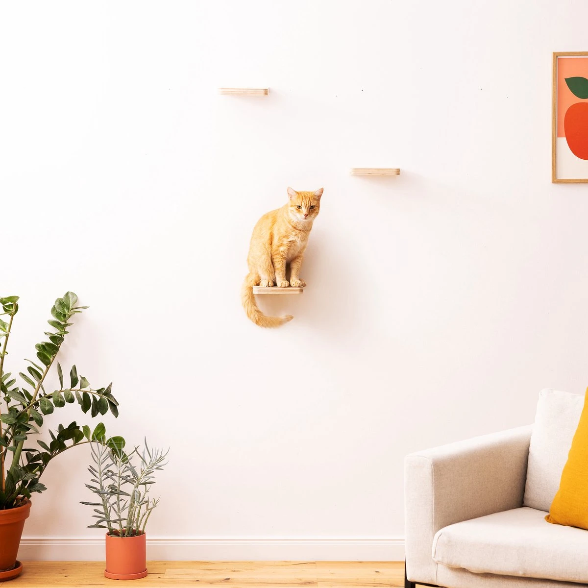 Navaris Katten Klimmuur 3 Tredes - 18 X 18 X 1,5 Cm Per Plankje - Katten Klimwand Van Hout - Inclusief Bevestigingsmateriaal 6 Navaris Katten Klimmuur 3 Tredes - 18 X 18 X 1,5 Cm Per Plankje - Katten Klimwand Van Hout - Inclusief Bevestigingsmateriaal - Afbeelding 6