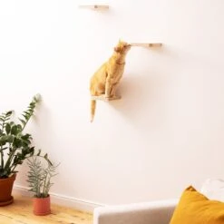 Navaris Katten Klimmuur 3 Tredes - 18 X 18 X 1,5 Cm Per Plankje - Katten Klimwand Van Hout - Inclusief Bevestigingsmateriaal 13 Navaris Katten Klimmuur 3 Tredes - 18 X 18 X 1,5 Cm Per Plankje - Katten Klimwand Van Hout - Inclusief Bevestigingsmateriaal -Merkloos Winkel 1200x1200 678