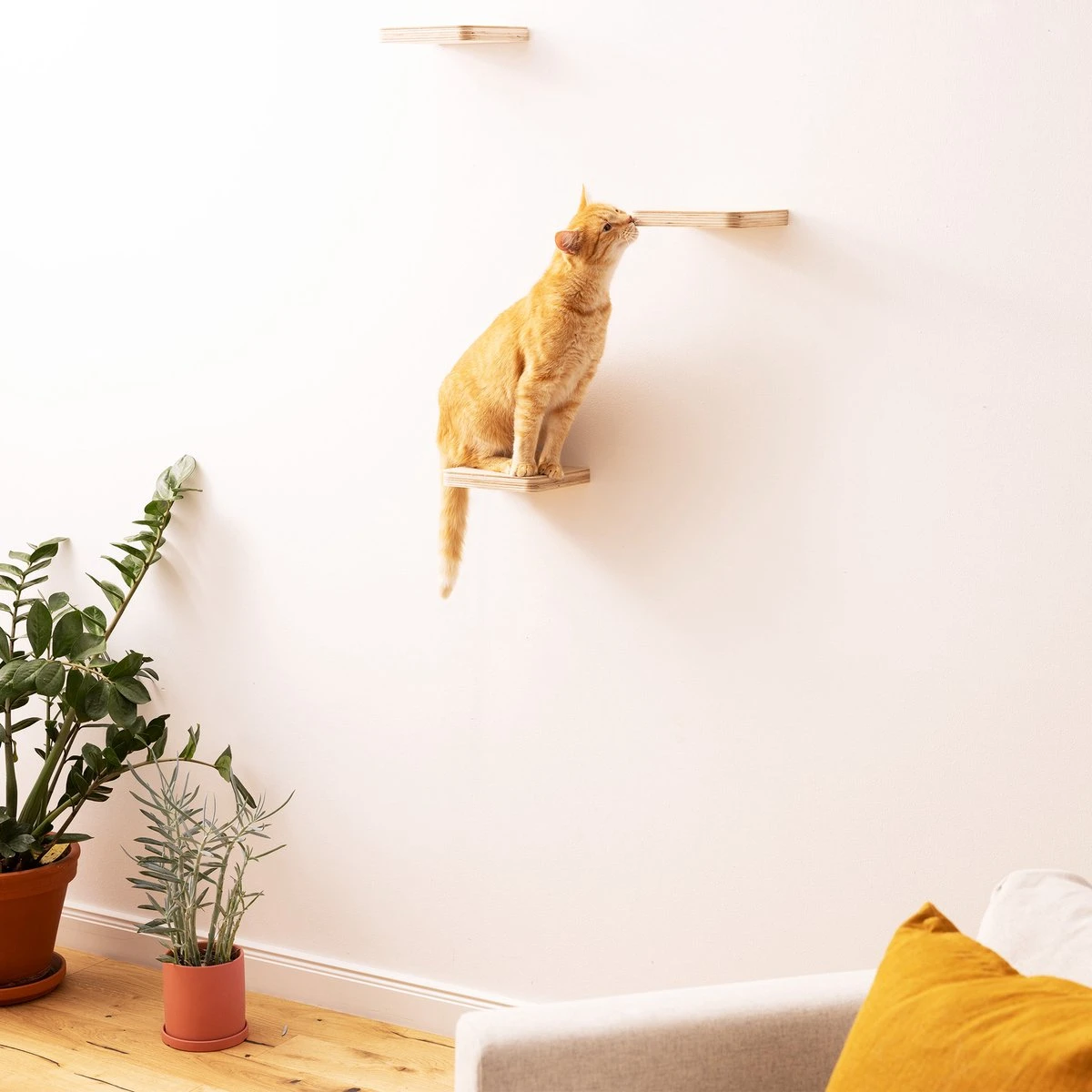 Navaris Katten Klimmuur 3 Tredes - 18 X 18 X 1,5 Cm Per Plankje - Katten Klimwand Van Hout - Inclusief Bevestigingsmateriaal 7 Navaris Katten Klimmuur 3 Tredes - 18 X 18 X 1,5 Cm Per Plankje - Katten Klimwand Van Hout - Inclusief Bevestigingsmateriaal - Afbeelding 7