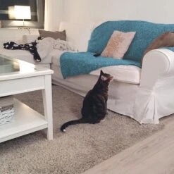 HG Tegen Urine Geur - 500 Ml - Effectief En Snel Resultaat - Neemt De Geur Definitief Weg -Merkloos Winkel 1200x1200 690