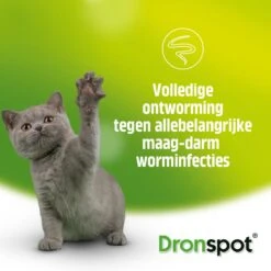 Dronspot Spot On Ontwormingsmiddel Voor Middelgrote Katten (2,5 Kg - 5 Kg) 2 Pipetten 9 Dronspot Spot On Ontwormingsmiddel Voor Middelgrote Katten (2,5 Kg - 5 Kg) 2 Pipetten -Merkloos Winkel 1200x1200 702