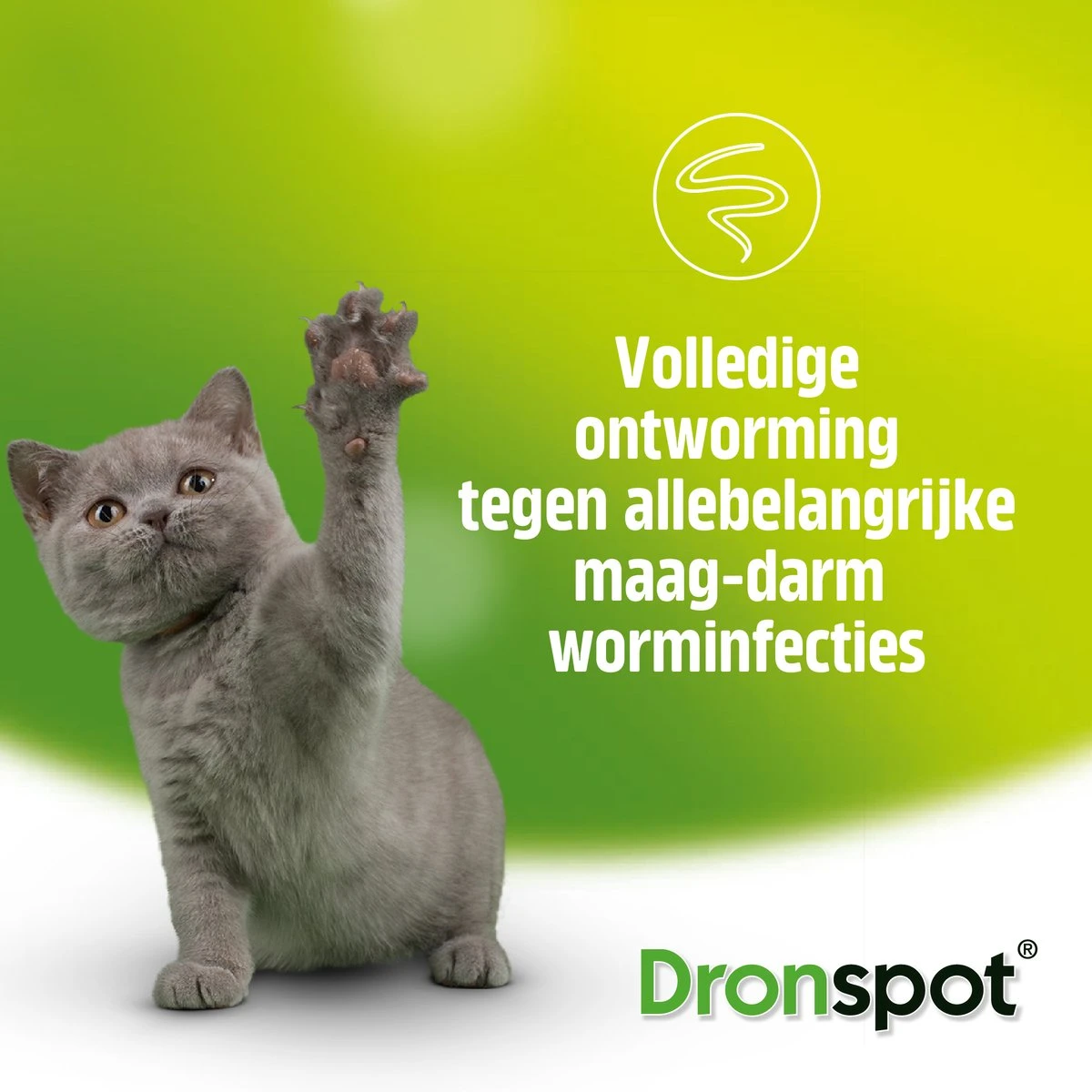 Dronspot Spot On Ontwormingsmiddel Voor Middelgrote Katten (2,5 Kg - 5 Kg) 2 Pipetten 4 Dronspot Spot On Ontwormingsmiddel Voor Middelgrote Katten (2,5 Kg - 5 Kg) 2 Pipetten - Afbeelding 4