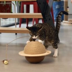 Designed By Lotte Kattenkrabbol Wiggly 29.5x20 Cm Hout -Merkloos Winkel 1200x1200 739