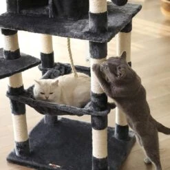Kat Krabpaal Voor Meerdere Katten - Met Hokje En Plateaus - Grote Of Kleine Katten - Grijs En Wit -Merkloos Winkel 1200x1200 770