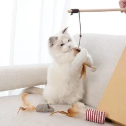 GIZMO Luxe Kattenspeeltjes Set - 7 Speeltjes - Interactieve Kattenhengel, Kattenspeelgoed & Speelmuisjes - Kitten Speeltjes -Merkloos Winkel 1200x1200 808