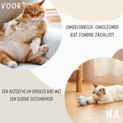 MyBuddy - Interactieve Zelf Rollende Bal - Kattenspeeltjes - Kattenspeelgoed - Bal Voor Katten - LED Lights - Speelgoed - USB - Roze -Merkloos Winkel 1200x1200 809