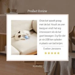 MyBuddy - Interactieve Zelf Rollende Bal - Kattenspeeltjes - Kattenspeelgoed - Bal Voor Katten - LED Lights - Speelgoed - USB - Roze -Merkloos Winkel 1200x1200 811