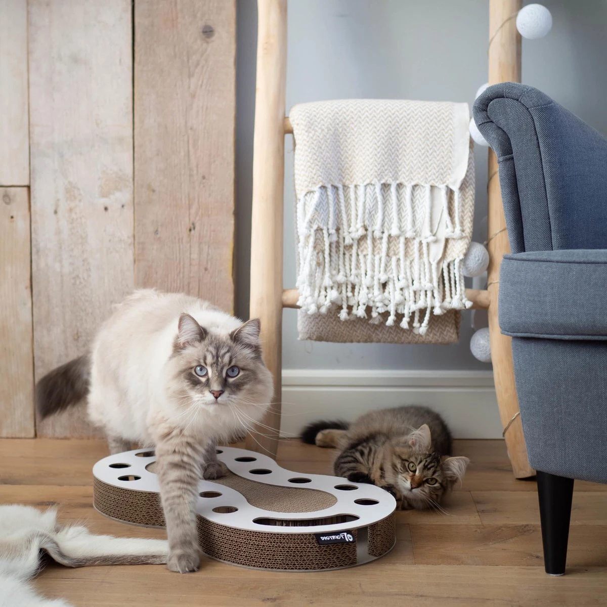 Interactief Design Krabspeelgoed Voor Katten Van Duurzaam Karton - District 70 SNAKE - Zwart 7 Interactief Design Krabspeelgoed Voor Katten Van Duurzaam Karton - District 70 SNAKE - Zwart - Afbeelding 7