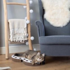 Interactief Design Krabspeelgoed Voor Katten Van Duurzaam Karton - District 70 SNAKE - Zwart 20 Interactief Design Krabspeelgoed Voor Katten Van Duurzaam Karton - District 70 SNAKE - Zwart -Merkloos Winkel 1200x1200 813