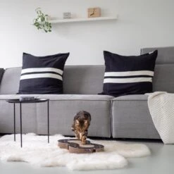 Interactief Design Krabspeelgoed Voor Katten Van Duurzaam Karton - District 70 SNAKE - Zwart 21 Interactief Design Krabspeelgoed Voor Katten Van Duurzaam Karton - District 70 SNAKE - Zwart -Merkloos Winkel 1200x1200 814