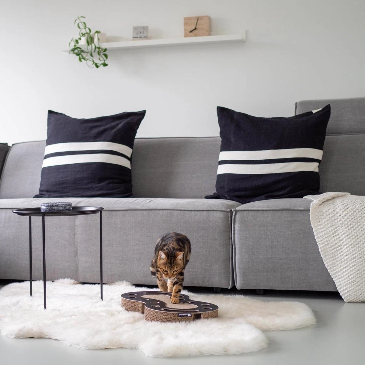 Interactief Design Krabspeelgoed Voor Katten Van Duurzaam Karton - District 70 SNAKE - Zwart 9 Interactief Design Krabspeelgoed Voor Katten Van Duurzaam Karton - District 70 SNAKE - Zwart - Afbeelding 9