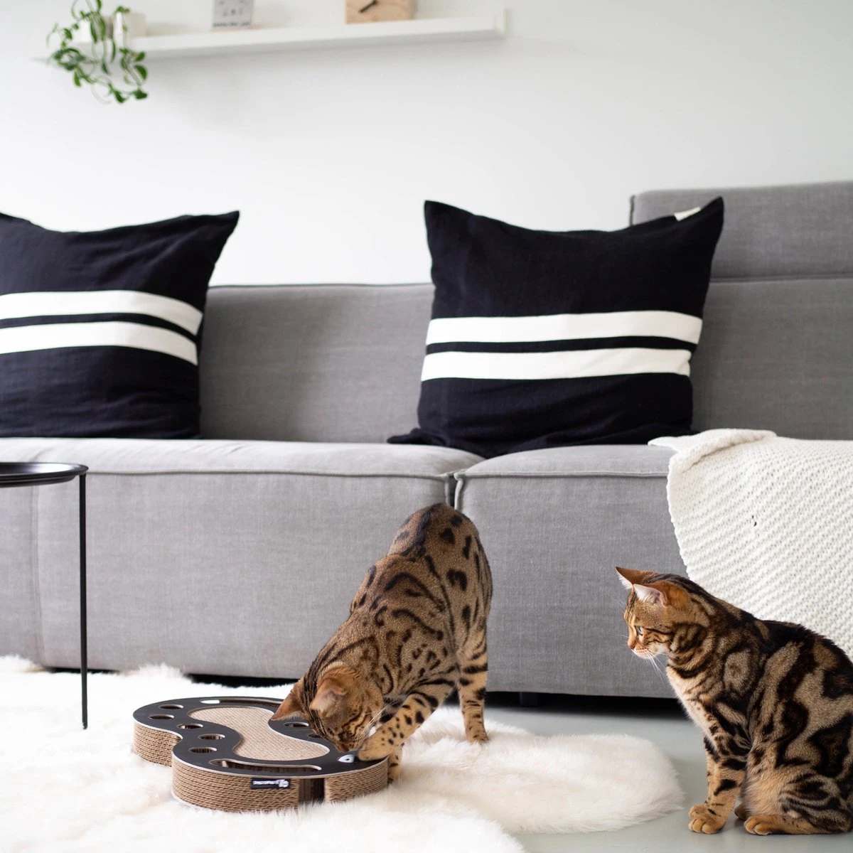 Interactief Design Krabspeelgoed Voor Katten Van Duurzaam Karton - District 70 SNAKE - Zwart 10 Interactief Design Krabspeelgoed Voor Katten Van Duurzaam Karton - District 70 SNAKE - Zwart - Afbeelding 10