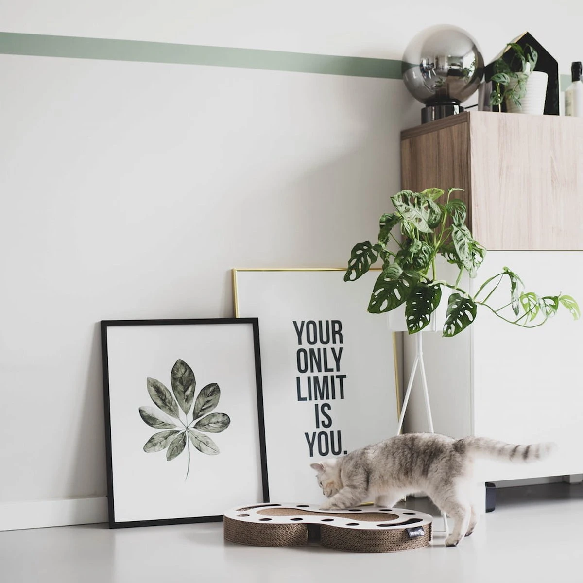 Interactief Design Krabspeelgoed Voor Katten Van Duurzaam Karton - District 70 SNAKE - Zwart 11 Interactief Design Krabspeelgoed Voor Katten Van Duurzaam Karton - District 70 SNAKE - Zwart - Afbeelding 11