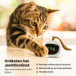 Otiume Slimme Katten Speeltje - Interactieve Zelf Rollende Bal Voor Katten - Kattenspeeltjes -Speelgoed Voor Dieren - USB Oplaadbaar -Merkloos Winkel 1200x1200 823