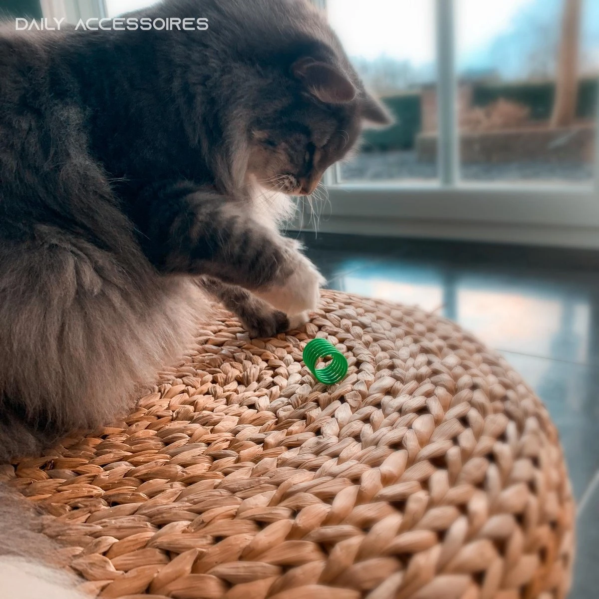 Kattenveertjes - Set 4 Stuks - Kattenspeeltjes - Kattenspeelgoed - Springveertje - Kittenspeeltjes - Kittenveertjes 2 Kattenveertjes - Set 4 Stuks - Kattenspeeltjes - Kattenspeelgoed - Springveertje - Kittenspeeltjes - Kittenveertjes - Afbeelding 2