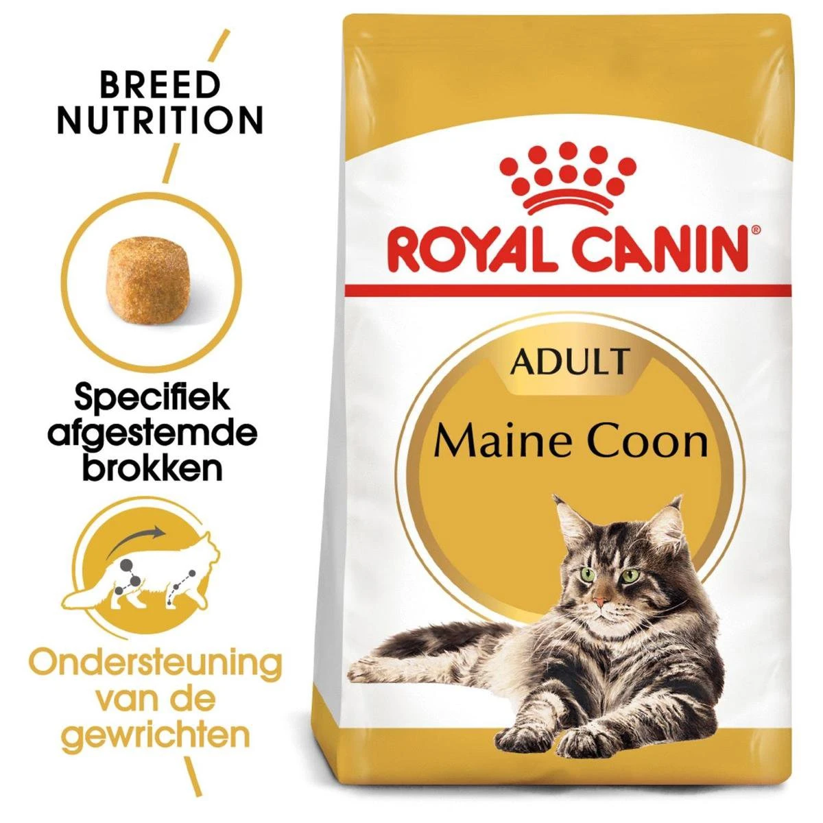 Royal Canin Maine Coon Adult - Kattenvoer - 10 Kg 2 Royal Canin Maine Coon Adult - Kattenvoer - 10 Kg - Afbeelding 2