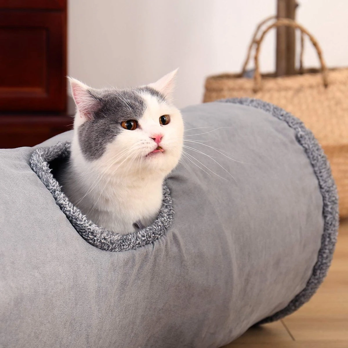 Bonbox Shop - Kattentunnel - 130 CM - Katten Speelgoed - Kitten - Spelen- Speeltunnel - Speelgoed Voor Katten 5 Bonbox Shop - Kattentunnel - 130 CM - Katten Speelgoed - Kitten - Spelen- Speeltunnel - Speelgoed Voor Katten - Afbeelding 5