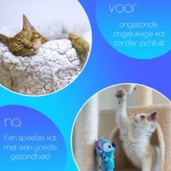TocaToca Kip- Interactieve Zelf Bewegende Speeltje- Kattenspeeltjes- Intelligentie- Kattenspeelgoed- Kip Voor Katten- Laser- USB- Speelgoed- Geluid- Oranje -Merkloos Winkel 1200x1200 863