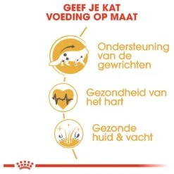 Royal Canin Maine Coon Adult - Kattenvoer - 10 Kg 15 Royal Canin Maine Coon Adult - Kattenvoer - 10 Kg -Merkloos Winkel 1200x1200 87