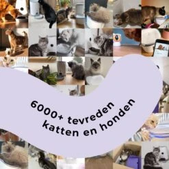 Pettadore - Laser Kattenspeeltjes - Smart Met Autoplay En Handmatig Via App 21 Pettadore - Laser Kattenspeeltjes - Smart Met Autoplay En Handmatig Via App -Merkloos Winkel 1200x1200 871