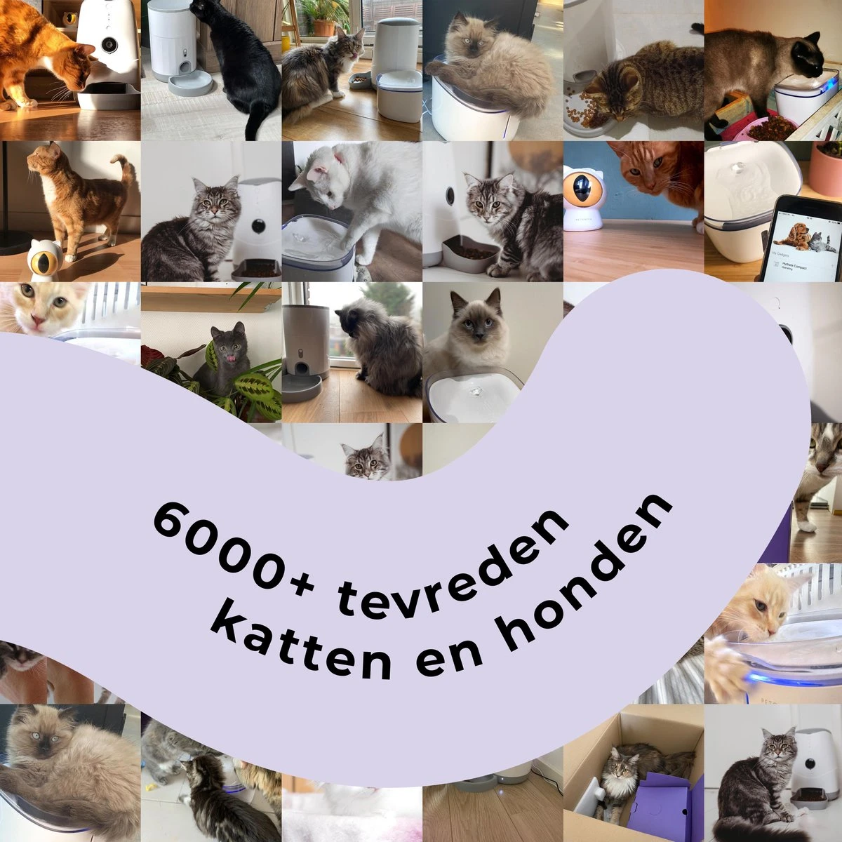 Pettadore - Laser Kattenspeeltjes - Smart Met Autoplay En Handmatig Via App 8 Pettadore - Laser Kattenspeeltjes - Smart Met Autoplay En Handmatig Via App - Afbeelding 8