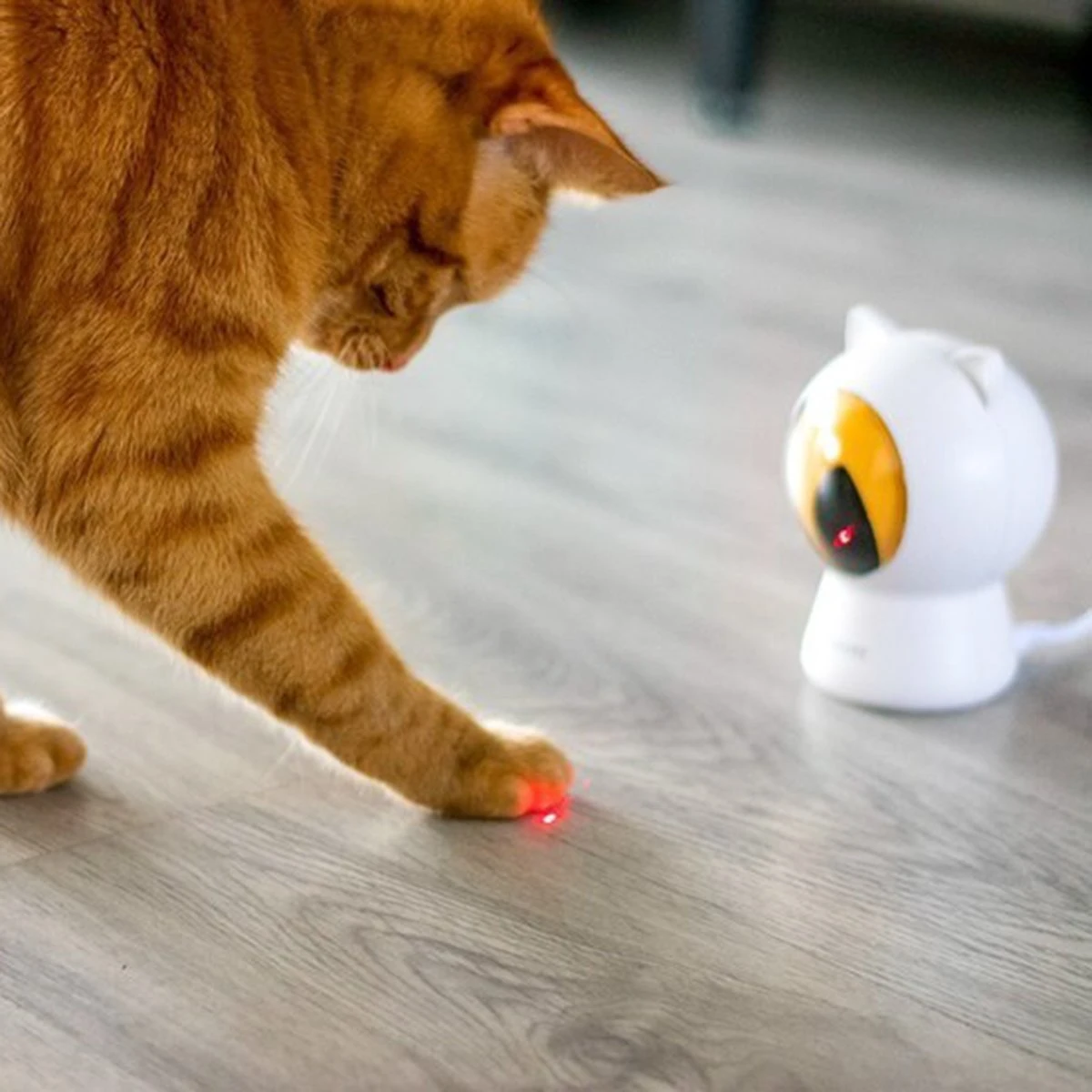 Pettadore - Laser Kattenspeeltjes - Smart Met Autoplay En Handmatig Via App 11 Pettadore - Laser Kattenspeeltjes - Smart Met Autoplay En Handmatig Via App - Afbeelding 11