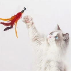 Merkloos Kattenhengel Met 10 Opzetstukjes - Kat Speelhengel Met Veren - Speelgoed Hengel Voor Katten – Kittenspeeltjes Met Veer – Kattenspeelgoed – Katten Speeltjes 10 Merkloos Kattenhengel Met 10 Opzetstukjes - Kat Speelhengel Met Veren - Speelgoed Hengel Voor Katten – Kittenspeeltjes Met Veer – Kattenspeelgoed – Katten Speeltjes -Merkloos Winkel 1200x1200 878