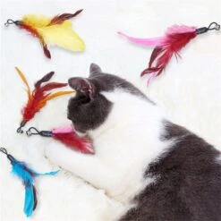 Merkloos Kattenhengel Met 10 Opzetstukjes - Kat Speelhengel Met Veren - Speelgoed Hengel Voor Katten – Kittenspeeltjes Met Veer – Kattenspeelgoed – Katten Speeltjes 11 Merkloos Kattenhengel Met 10 Opzetstukjes - Kat Speelhengel Met Veren - Speelgoed Hengel Voor Katten – Kittenspeeltjes Met Veer – Kattenspeelgoed – Katten Speeltjes -Merkloos Winkel 1200x1200 879