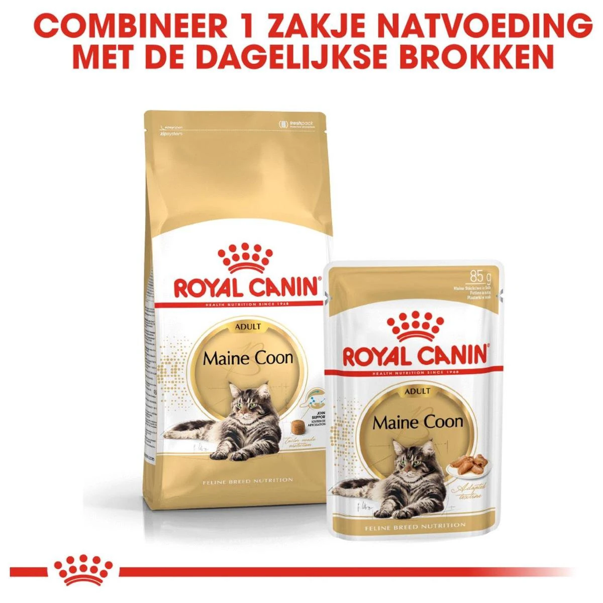 Royal Canin Maine Coon Adult - Kattenvoer - 10 Kg 6 Royal Canin Maine Coon Adult - Kattenvoer - 10 Kg - Afbeelding 6