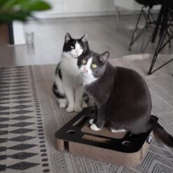 Interactief Krabspeelgoed Van Karton Met Balletje En Belletje - District 70 SPY - Zwart Of Wit 35x35x6cm - Zwart -Merkloos Winkel 1200x1200 891