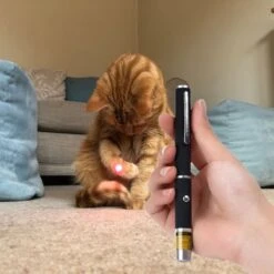 Katten Laser - Dierenwinkel Nederland -Merkloos Winkel 1200x1200 905