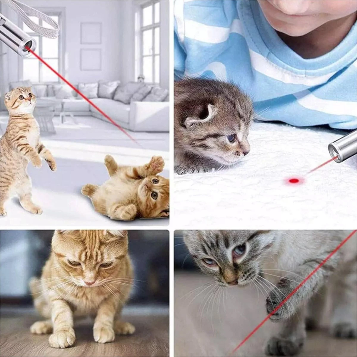 Merkloos Hoogwaardig Laserlampje Voor Katten | USB Oplaadbaar | 7 In 1 Laserpen | Laserpen | Zaklamp | Kattenspeeltje | Kattenspeelgoed | Zilver | Laserpointer Rood/groen | UV Licht 5 Merkloos Hoogwaardig Laserlampje Voor Katten | USB Oplaadbaar | 7 In 1 Laserpen | Laserpen | Zaklamp | Kattenspeeltje | Kattenspeelgoed | Zilver | Laserpointer Rood/groen | UV Licht - Afbeelding 5
