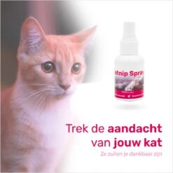 LBB - Catnip Spray 50ML - 100% Natuurlijk - CE Gekeurd - Kattenkruid Spray - Catnip Speelgoed - Valeriaan - Kat - Katten -Merkloos Winkel 1200x1200 939