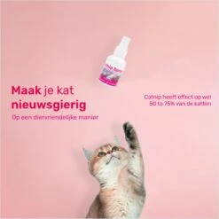 LBB - Catnip Spray 50ML - 100% Natuurlijk - CE Gekeurd - Kattenkruid Spray - Catnip Speelgoed - Valeriaan - Kat - Katten -Merkloos Winkel 1200x1200 941
