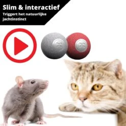 Cheerble Mini Ball 2.0 - Slimme Interactieve Zelf Rollende Bal Voor Katten - 3 Speelmodi - Kattenspeeltjes - USB Oplaadbaar - Rood -Merkloos Winkel 1200x1200 944