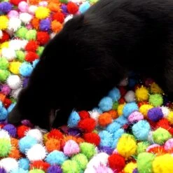 Make Me Purr Glitter Pompon Ballen (10 Stuks) - Kattenspeeltjes - Kattenspeelgoed - Speelgoed Voor Katten - Kat Speeltje Bal - Kitten Speeltjes Balletjes -Merkloos Winkel 1200x1200 948